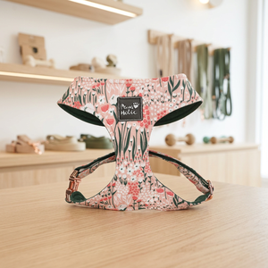 XS Premium Cotton Comfortable Floral <b>Dog</b> Harness Cat Harness Adjustable Small Size Cute Design Buckle Closure for <b>Dogs</b> and Cats - Product Image 1