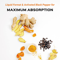 Complément d'extrait de curcuma avec curcumine, gingembre et poivre noir en gouttes liquides pour une meilleure absorption, la santé intestinale et les articulations
