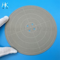 Plaque chauffante en nitrure d'aluminium (AlN) à haute conductivité thermique pour mandrin de disque céramique