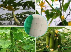 5X30 футов пластиковая полипропиленовая решетка для поддержки растений, подъемная сетка для овощей