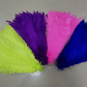 <span class=keywords><strong>Samber</strong></span> Carnival 18-20 pulgadas blanqueado teñido Nandu pluma recortada plumas de avestruz barato Caribe carnaval accesorios graduación - Product Image 2
