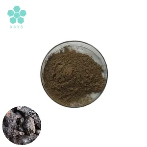 Best Quality Free Sample Shilajit Extract Powder 20% Fulvic Acid
