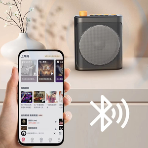 Bộ khuếch đại giọng nói <span class=keywords><strong>mini</strong></span> với micrô Lavalier không dây cho bài giảng - Product Image 5