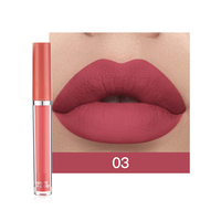 Ensemble de gloss à lèvres mats 6 couleurs, longue tenue, waterproof, anti-transfert, style européen et américain.