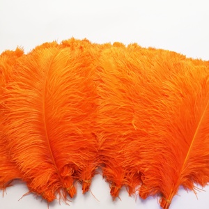Grandi pennacchi <span class=keywords><strong>di</strong></span> struzzo da 24 a 26 pollici (60-65cm) <span class=keywords><strong>piume</strong></span> Decorative <span class=keywords><strong>di</strong></span> struzzo con <span class=keywords><strong>piume</strong></span> <span class=keywords><strong>bianche</strong></span> e colorate - Product Image 2