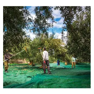 100% HDPE Olive nets for agriculture olive collection net JC004