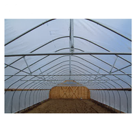 Serre hydroponique agricole tente en plastique monocouche avec acier et PE carré petit grand tunnel de tomates pour les serres
