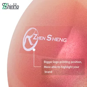 Zhensheng High Quality Thick Eco Friendly Exercise Yoga Ball 65cm