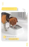 Gamelle d'eau durable en plastique pour chien et chat, forme carrée, motif uni, étanche IPX5, anti-déversement, anti-renversement, anti-étouffement, flottante