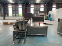 Machine de remplissage et d'emballage rotative pour comprimés effervescents à la vitamine C