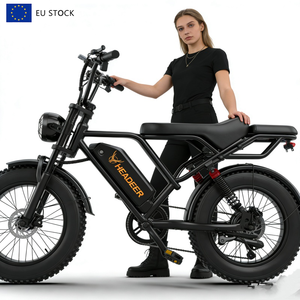 Bicicleta Eléctrica Vintage con Llantas de Aire de 20 Pulgadas, 750W, 48V, con Asiento Trasero, Disponible en Almacenes de la UE y EE. UU. - Product Image 1