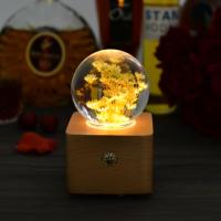 Lovebay Nouveautés Coffret Cadeau Original Unique avec Véritable Fleur Stabilisée, Lampe de Nuit LED Portable à Chargement USB et Enceinte