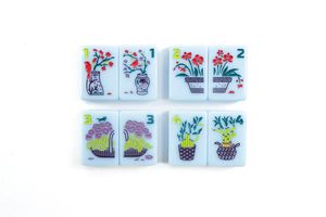 Set Mahjong Personalizzato Collezione Botanica 168 Tessere <span class=keywords><strong>in</strong></span> Acrilico, Stile Chinoiserie Giardino Orientale, Set Regalo di Lusso Illustrativo - Product Image 3
