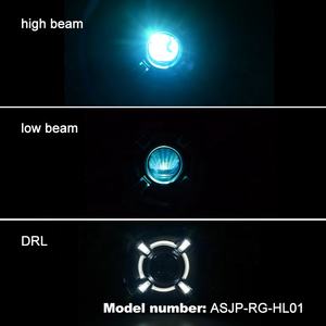 Kit de montaje de faros HID de 55W para <span class=keywords><strong>jeep</strong></span> <span class=keywords><strong>Renegade</strong></span> 2015-2017 con halo de Led <span class=keywords><strong>blanco</strong></span> - Product Image 6