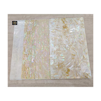 Feuille de coquille d'ormeau de nacre blanche de prix usine pour le matériel de décoration d'incrustation