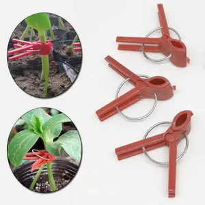 50pcs 플라스틱 접목 클립 수박 정원 식물 지원 야채 꽃 덩굴 줄기 수정 성장 직립 정원 용품