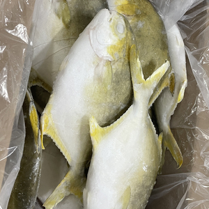 Chất Lượng Hàng Đầu Đông Lạnh Pompano Cá Pomfret Cá - Product Image 3