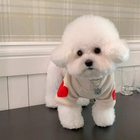 Sweat-shirt en polaire chaud et luxueux pour animaux de compagnie, brodé d'un cœur mignon, durable, pour petits chiens et chats, idéal pour l'hiver (Teddy, Bichon, Yorkie)