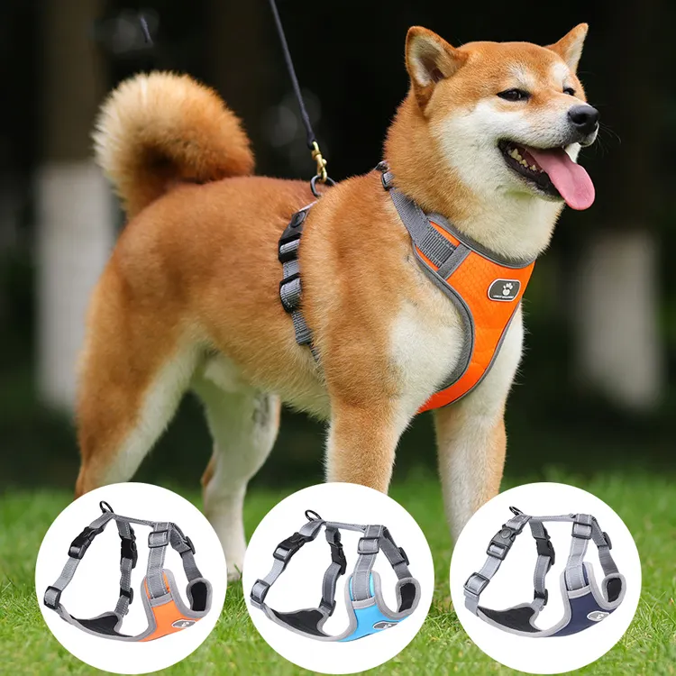 Ab depo özel logo ayarlanabilir açar yaka köpek kablo demeti seti yansıtıcı köpek demeti