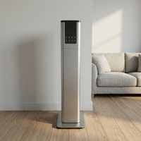 Humidificateur d'air ultrasonique à brume chaude électrique de 13 litres avec stérilisation, certifié CE, faible bruit <36 dB, garantie 1 an