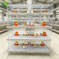 Cage à poussins galvanisée multicouche pour poulettes, conception à faible stress, sans bords tranchants, pour éleveurs locaux africains