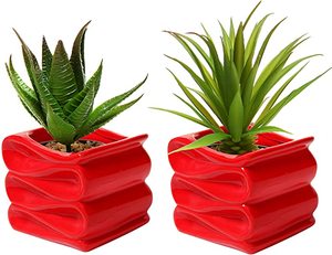 Maceta de Cerámica Roja con Diseño de Elefante, Linda Maceta para Cactus y <span class=keywords><strong>Suculentas</strong></span> - Product Image 4