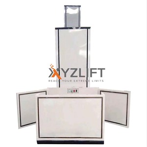 XYZLIFT Elevador de silla de ruedas hidráulico vertical para discapacitados al aire libre con precio moderado - Product Image 5