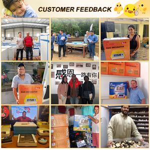 Wonegg Hoàn toàn tự động năng lượng mặt trời bò sát gà trứng lồng ấp và nở máy Phụ tùng cho 24 56 64 100 5000 trứng - Product Image 6