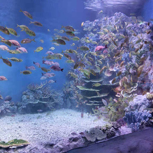 Fabrieksdirecte verkoop van aquariums, aquariumdecoratie, kunstmatige zachte koralen, ontwerp en installatie - Product Image 3