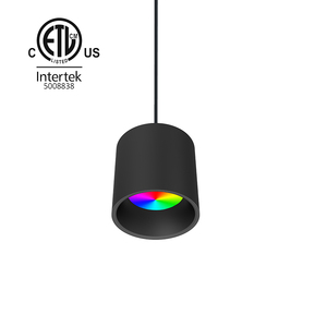 ETL ul được liệt kê Mặt dây chuyền <span class=keywords><strong>RGBW</strong></span> trần Downlight 40 Wát <span class=keywords><strong>DMX</strong></span> điều khiển không dây thay đổi độ sáng <span class=keywords><strong>LED</strong></span> Trần xuống ánh sáng AC100-277V tại chỗ xuống ánh sáng - Product Image 2