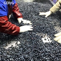 Hoge Anthocyanine/Bulkverpakking/Private Label/OEM Beschikbaar/Antioxidantrijk/Smoothies/OEM Maatwerk/Exportkwaliteit Diepvries Blauwe Bessen