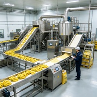 Hoge capaciteit sproeidroogmachine voor het maken van fruit- en groentepoeder