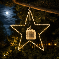 Guirlande lumineuse LED en forme d'étoile de Noël de 30 cm, étanche, avec fil de cuivre, alimentée par piles, pour décoration intérieure/extérieure