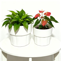 Pot de fleurs et de bonsaï en résine plastique, style nordique minimaliste, durable, écologique, moulé par injection, petit format pour la maison
