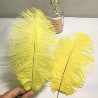 Plumes d'autruche naturelles en vrac teintées de 25 à 30cm personnalisables pour la décoration de mariage et les éventails muraux en plumes