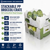 Caisse pliable en PP ondulé pour brocoli, empilable, pour légumes frais, avec système de refroidissement par eau, réutilisable, ventilée, emballage OEM