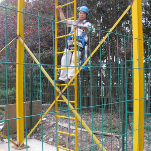 Work Positioning Scaffolder Fall Arrest Safety System for Structure Installation