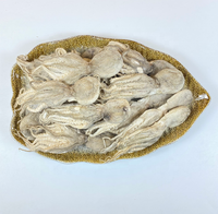 Friandises lyophilisées de calmar Paitei en gros pour chats et chiens - Riches en protéines, sans céréales