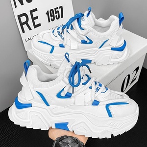 Chaussures à lacets pour hommes, nouveau style automne, semelle épaisse, bout rond, sport, course, décontractées, polyvalentes, respirantes, en maille, blanches, style Dad Shoes - Product Image 2