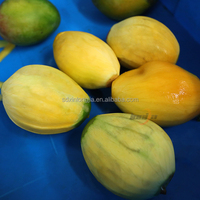 Xinlongjia Nieuw Ontwerp Ananas Mango Groente Fruitsnijder Snijmachine Snijmachine Snijmachine