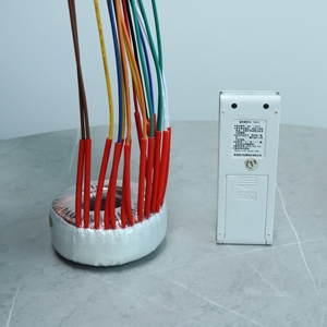 Yüksek kaliteli Toroidal çekirdek 50W-5000W giriş sanayi Tester için 110V 120V Toroidal trafo - Product Image 2