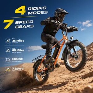 20" Fat Tire Bike 1000w 48v 13ah 60miles Range Hand Grip Throttle 7-speed Usa Local Warehouse In-stock 3-7 M20-1 20 Inch Fat - Product Image 5