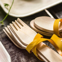 Ustensiles jetables de haute qualité, cuillère-fourchette compostable en bois de bouleau 2 en 1, mini fourchette-cuillère en bois pour la maison, le jardin, les pique-niques en plein air