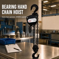Palans à chaîne manuels en acier haute résistance de marque Hengyan, vente en gros d'usine, petite machine de levage, hauteur de levage 3m, garantie 1 an