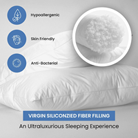 Oreiller économique moderne, doux, à garnissage solide, alternative au duvet, hypoallergénique et durable, et fabricant de literie OEM