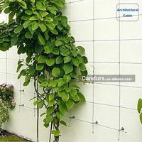 2mm -10mm Architektonisches 316 Edelstahl-Drahtseil für Grünwand-Rankgitter