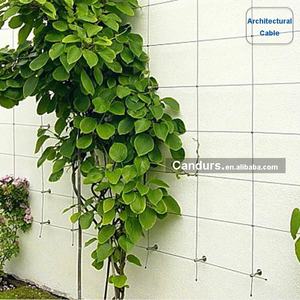 ลวดสลิงสแตนเลส 316 สำหรับงานสถาปัตยกรรม ขนาด 2 มม. - 10 มม. สำหรับผนังสีเขียว - Product Image 6