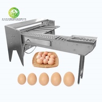 Trieuse automatique pour petits œufs de poule pour l'industrie alimentaire Trieuse du poids des œufs Trieuse des œufs au poids