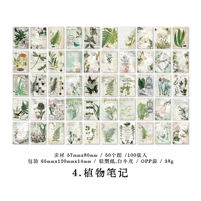 Notas de la planta D