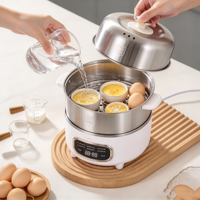 Cuiseur à œufs électrique numérique intelligent en acier inoxydable 304, cuiseur vapeur multifonction pour le petit-déjeuner, la cuisson des œufs et des légumes